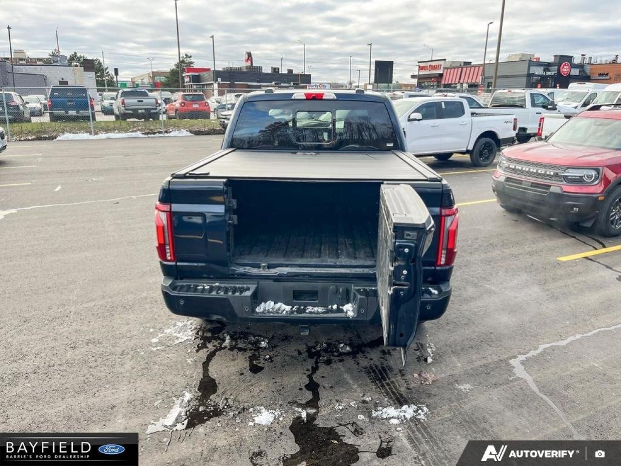 2025 Ford F-150 Platinum Photo