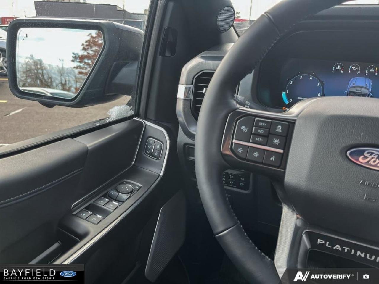 2025 Ford F-150 Platinum Photo