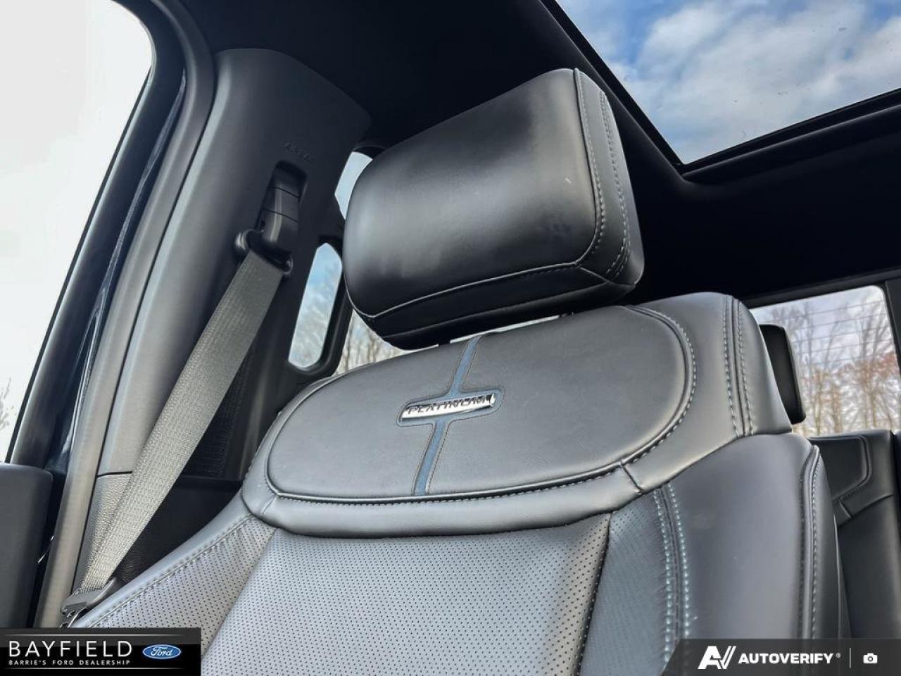 2025 Ford F-150 Platinum Photo