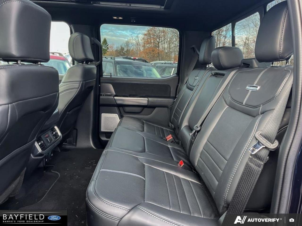 2025 Ford F-150 Platinum Photo