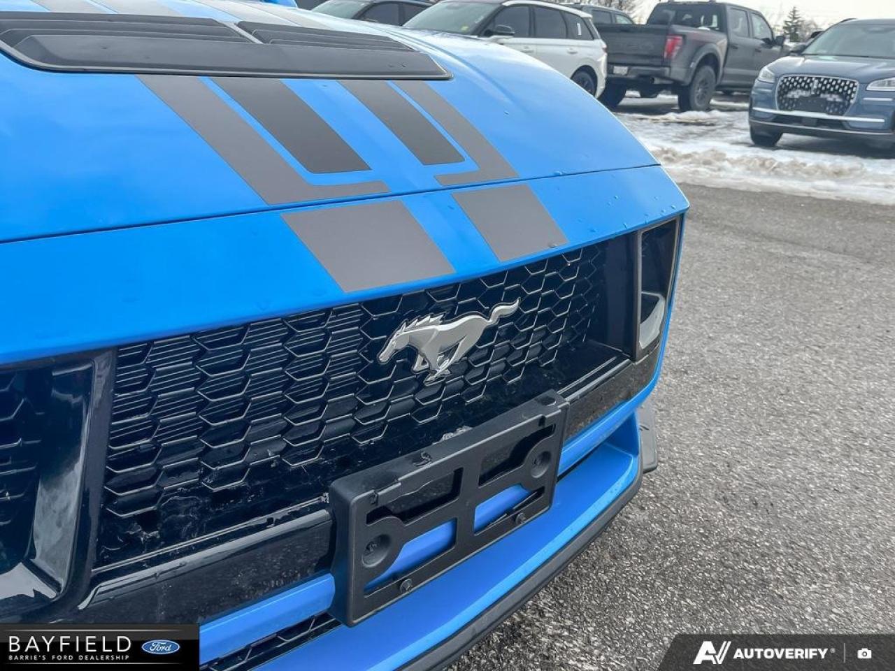 2025 Ford Mustang Fastback GT PREMIUM Photo