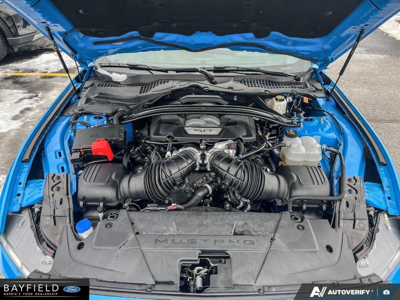 2025 Ford Mustang Fastback GT PREMIUM Photo