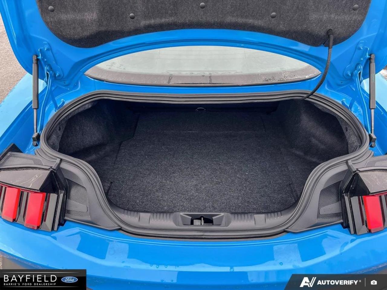 2025 Ford Mustang Fastback GT PREMIUM Photo