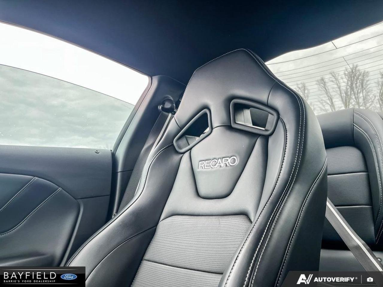 2025 Ford Mustang Fastback GT PREMIUM Photo