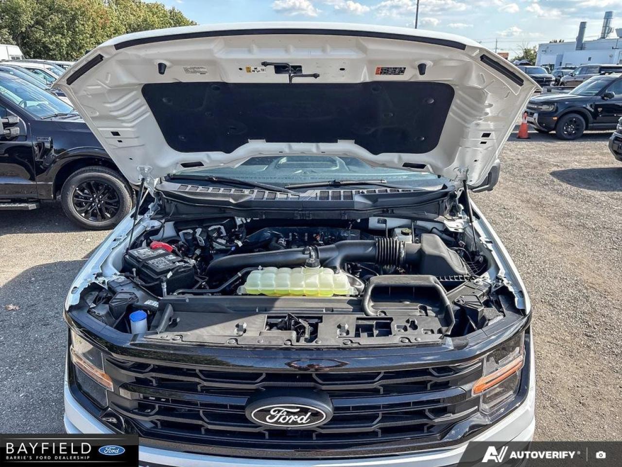 2025 Ford F-150 XLT Photo