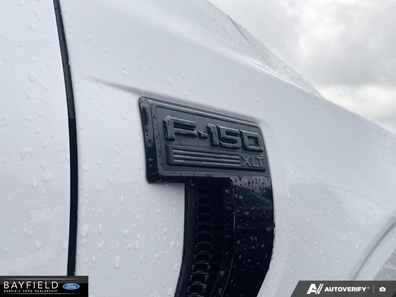 2025 Ford F-150 XLT Photo