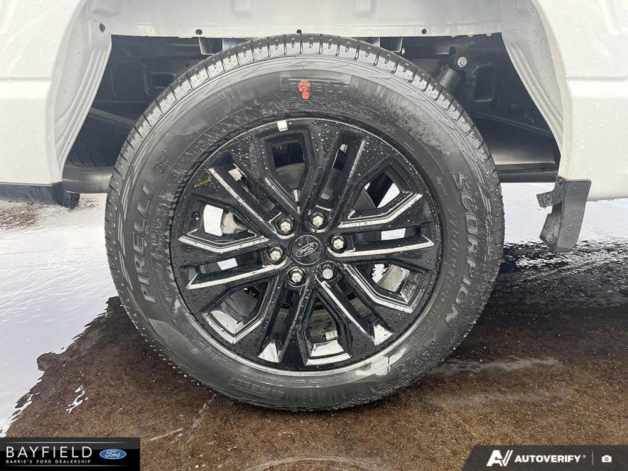 2025 Ford F-150 XLT Photo