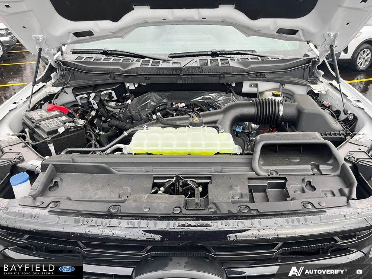 2025 Ford F-150 XLT Photo