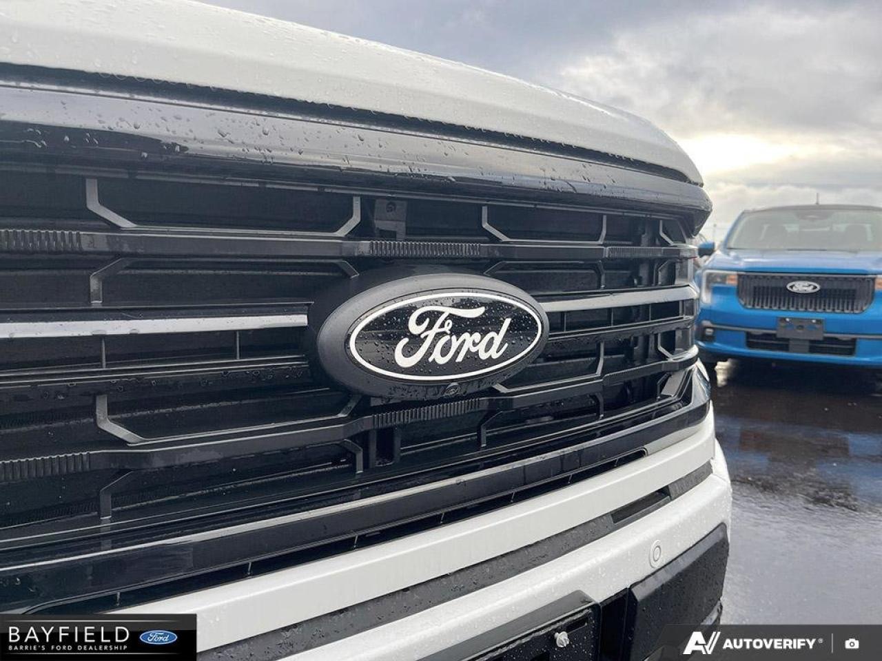 2025 Ford F-150 XLT Photo