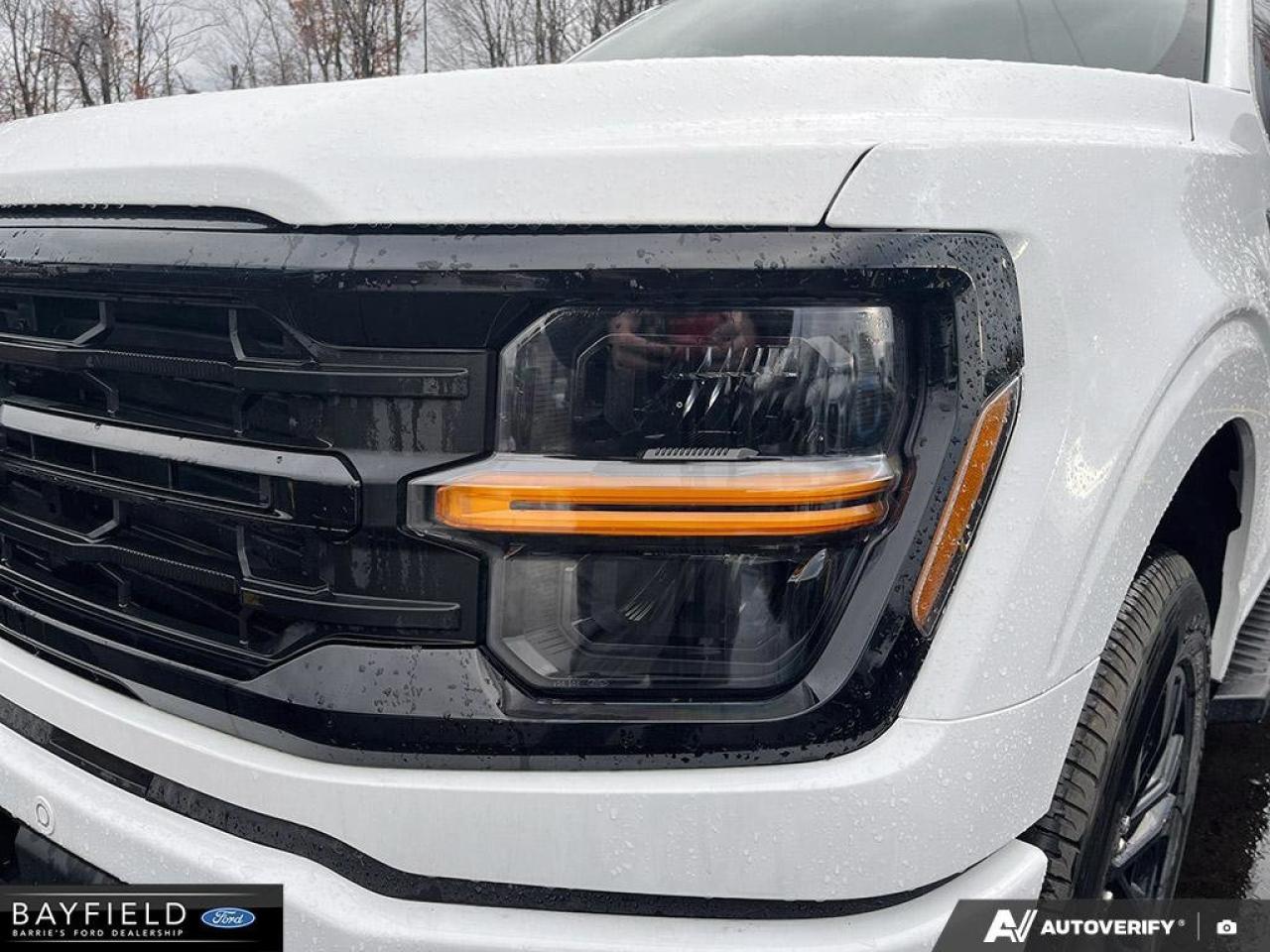 2025 Ford F-150 XLT Photo