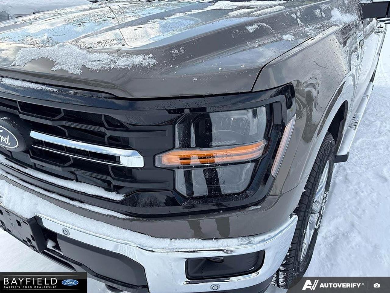 2025 Ford F-150 XLT Photo