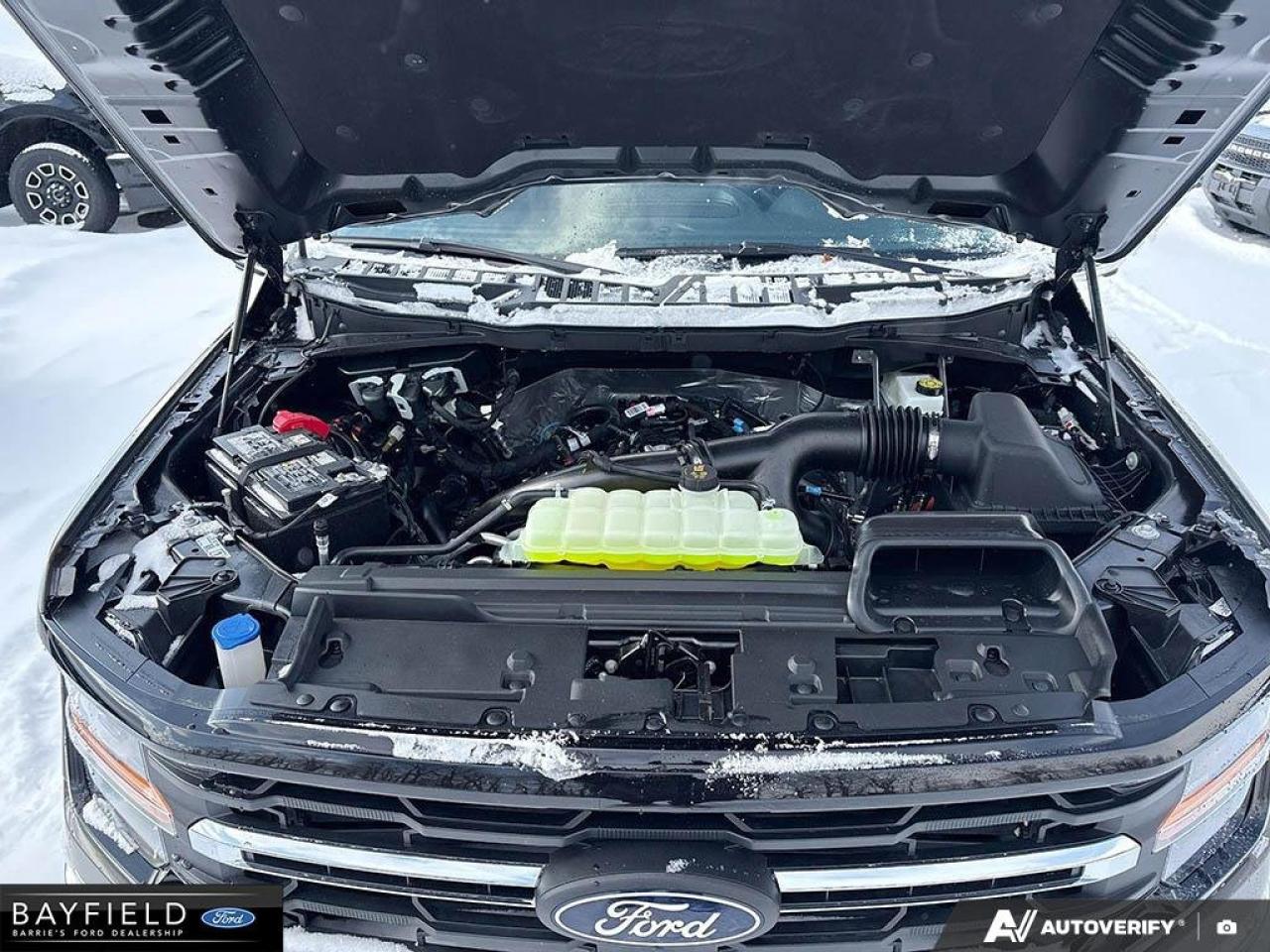 2025 Ford F-150 XLT Photo