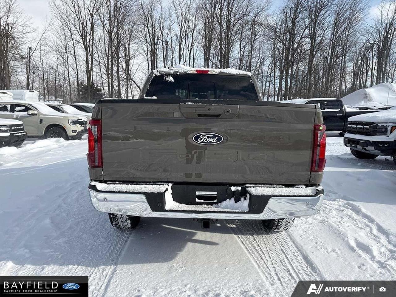 2025 Ford F-150 XLT Photo