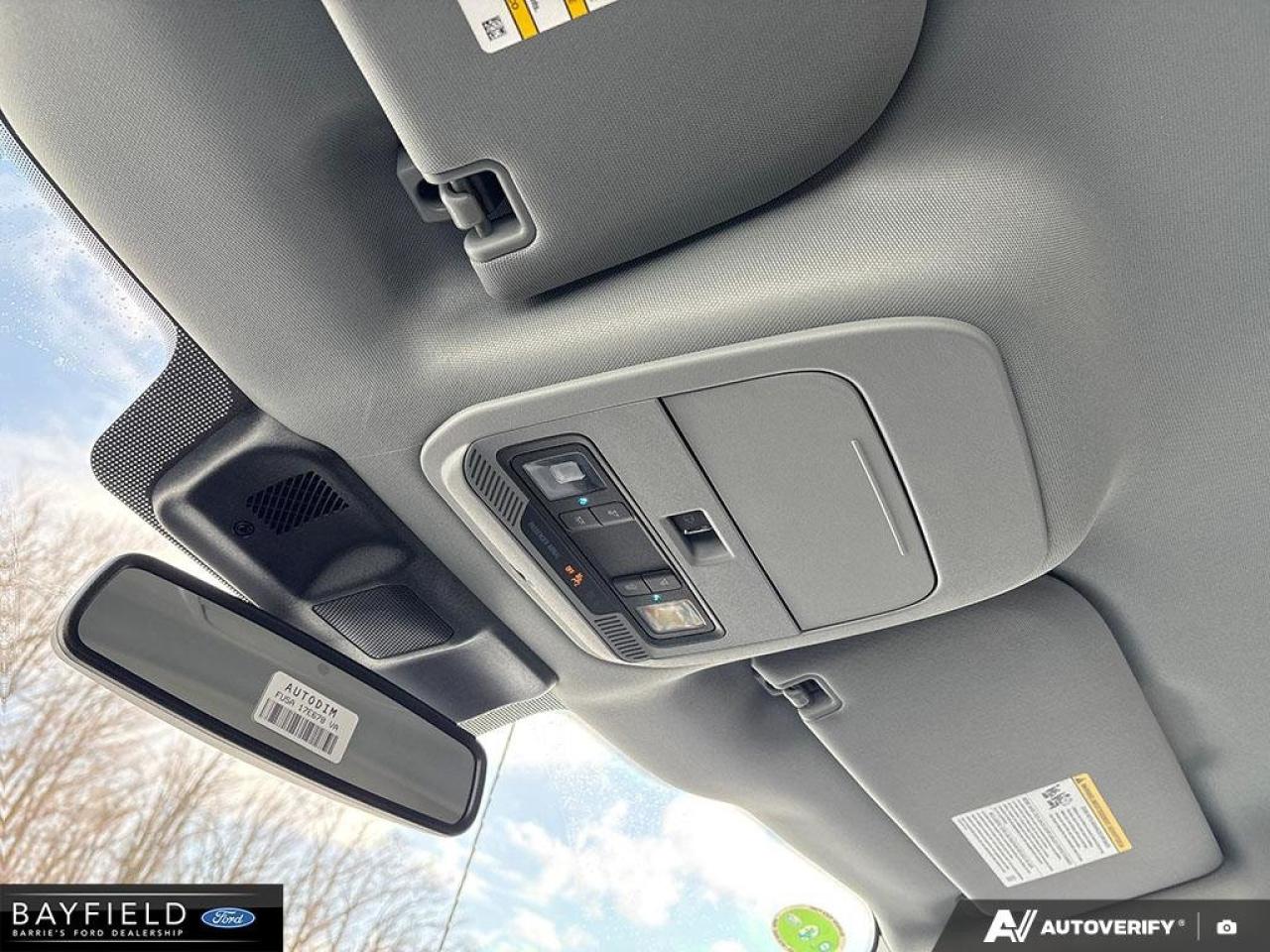 2025 Ford F-150 XLT Photo