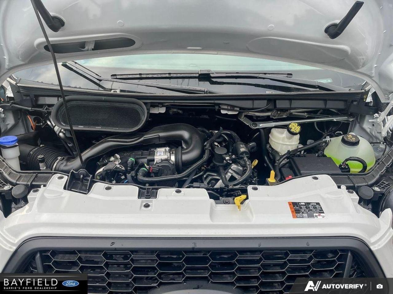 2025 Ford Transit Cargo Van  Photo