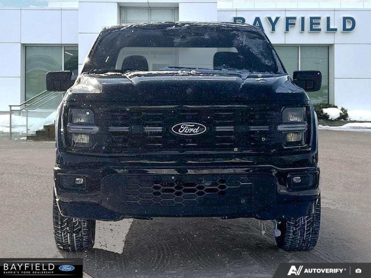 2025 Ford F-150 STX Photo