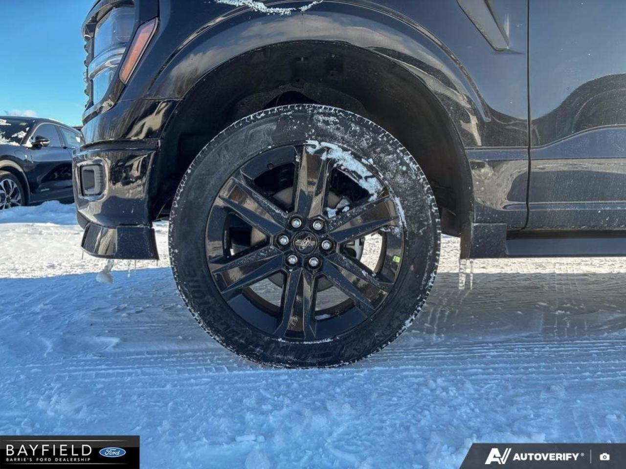 2025 Ford F-150 STX Photo