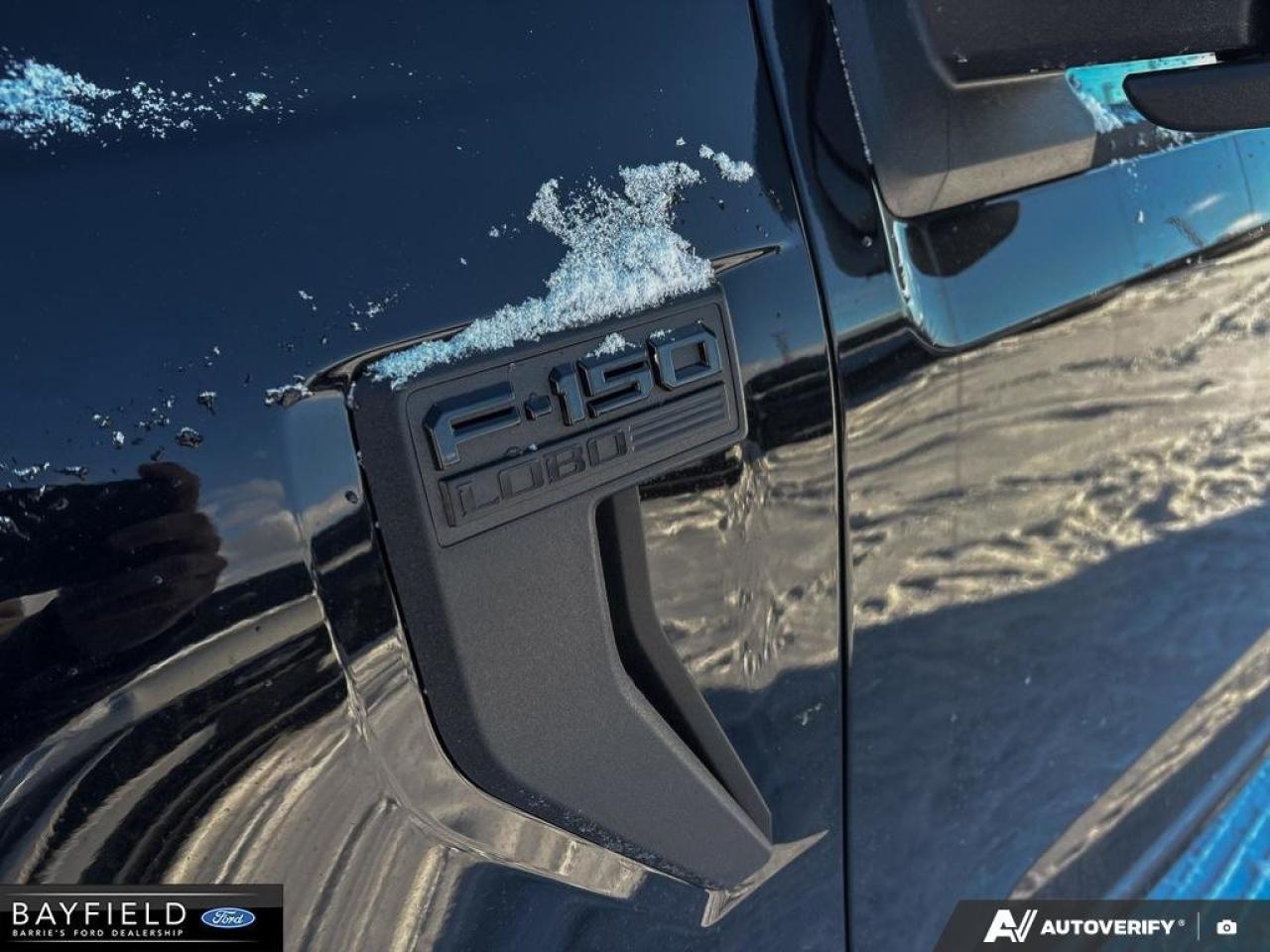 2025 Ford F-150 STX Photo