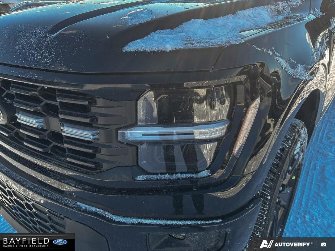 2025 Ford F-150 STX Photo