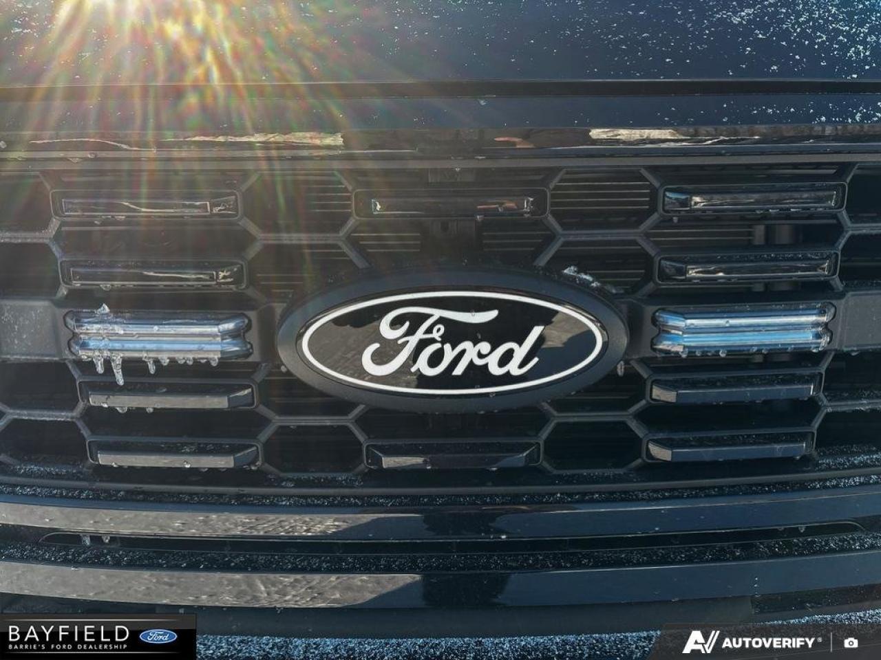 2025 Ford F-150 STX Photo
