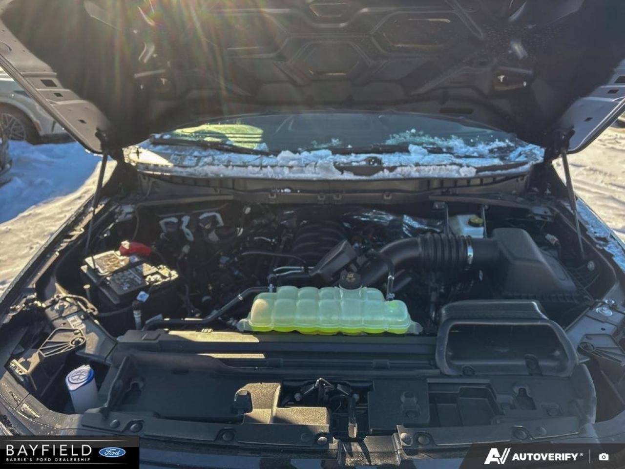 2025 Ford F-150 STX Photo