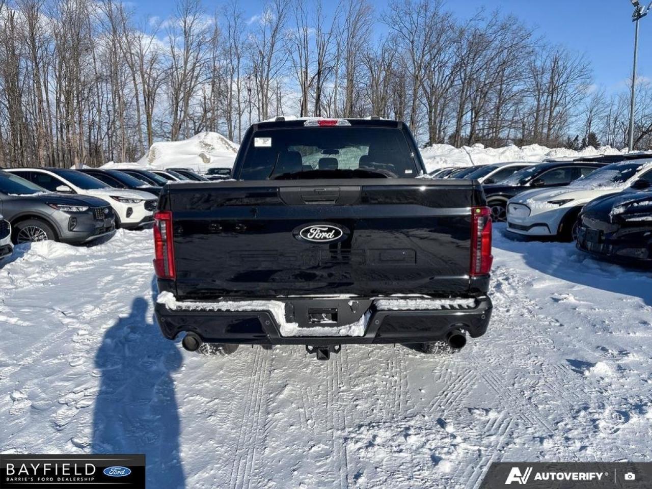 2025 Ford F-150 STX Photo