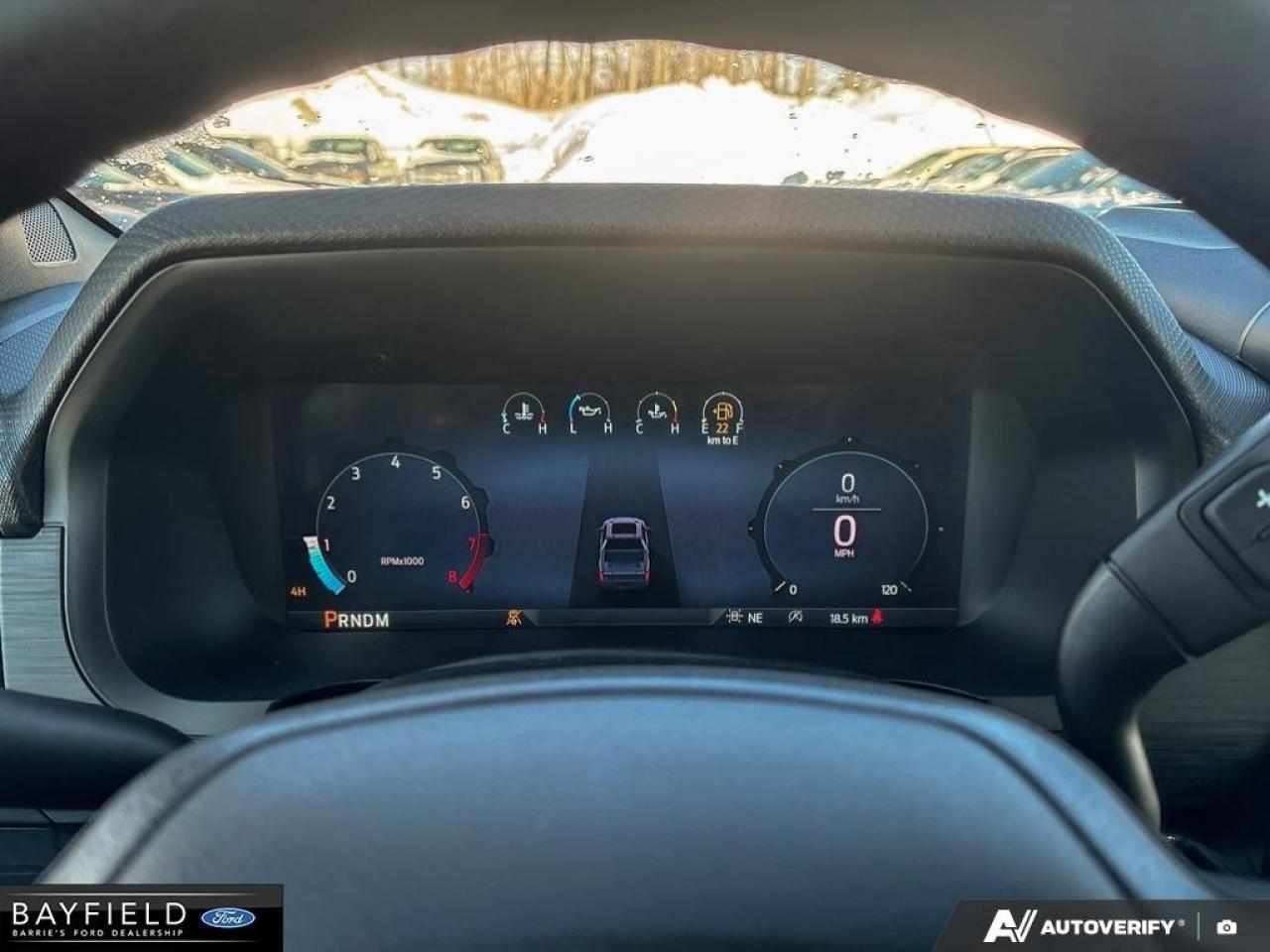 2025 Ford F-150 STX Photo