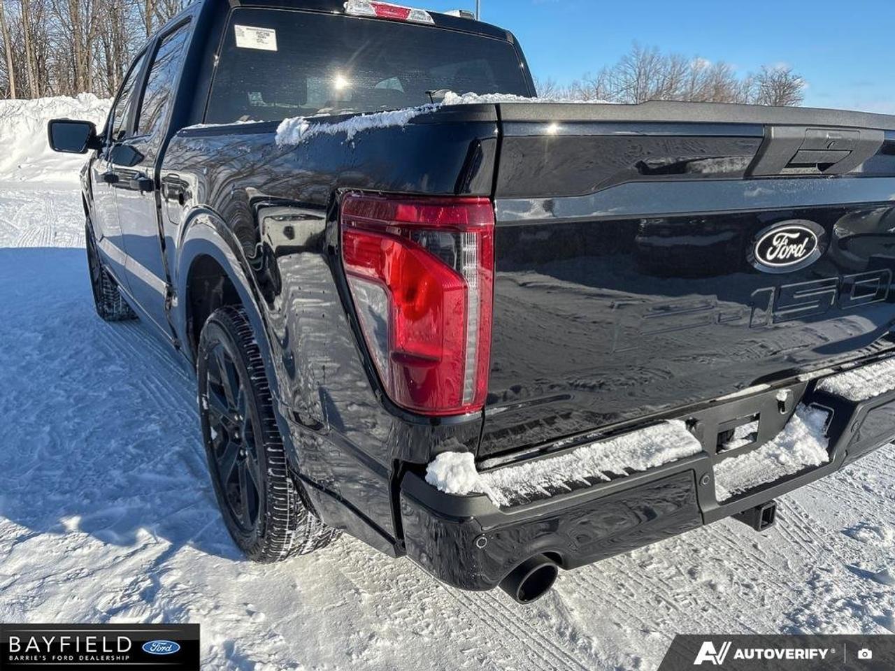 2025 Ford F-150 STX Photo