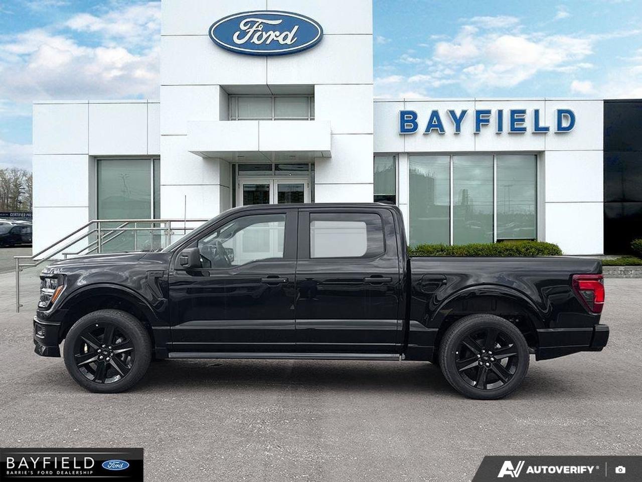 2025 Ford F-150 STX Photo