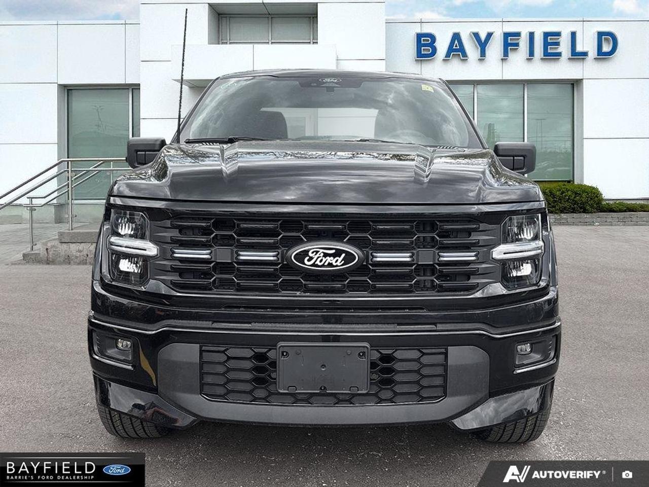 2025 Ford F-150 STX Photo