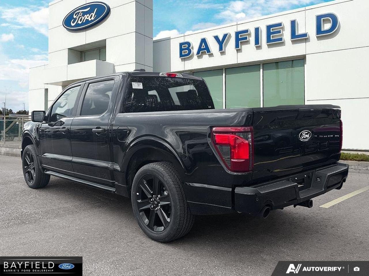 2025 Ford F-150 STX Photo
