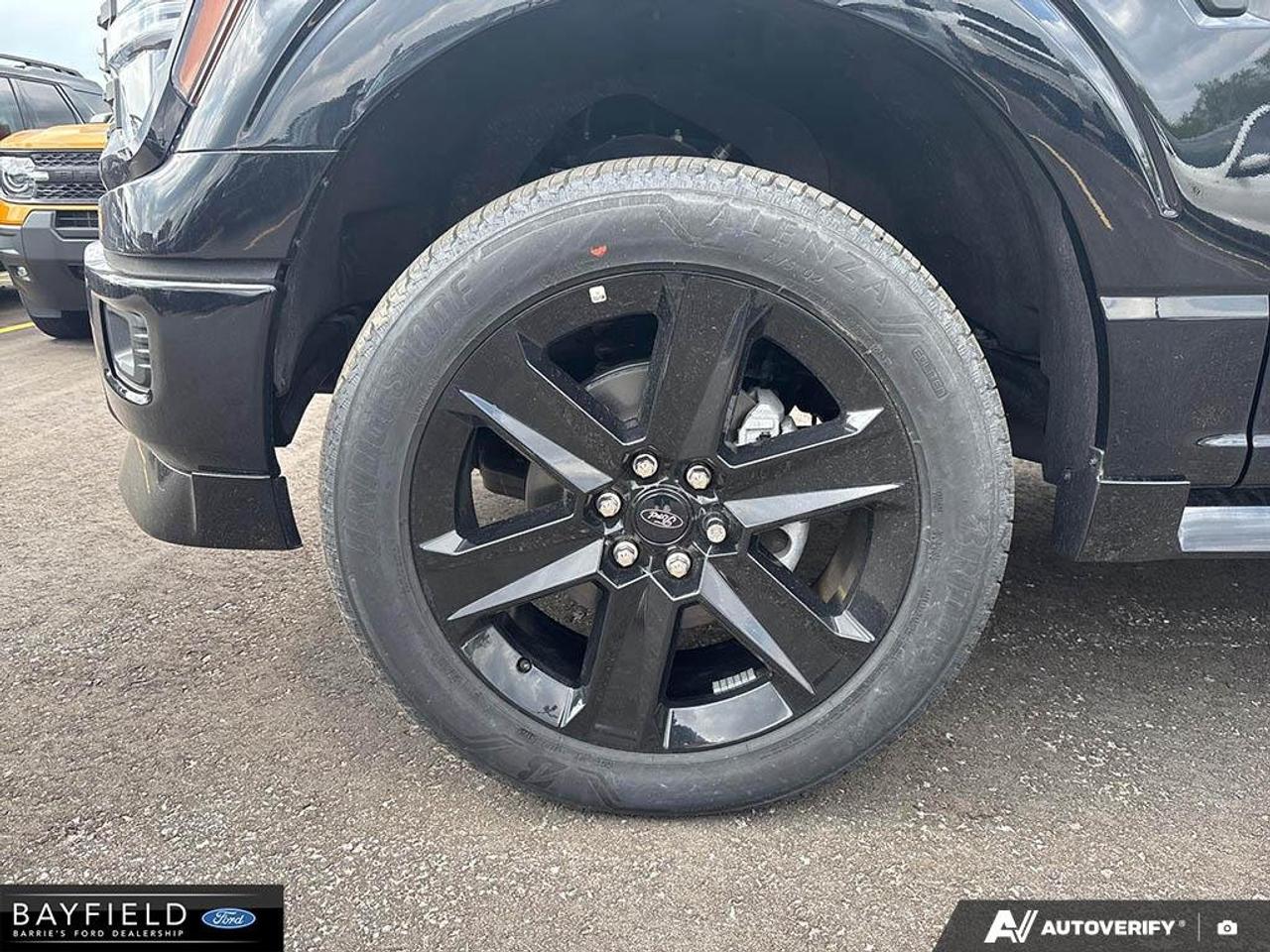 2025 Ford F-150 STX Photo