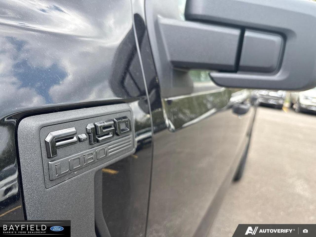 2025 Ford F-150 STX Photo