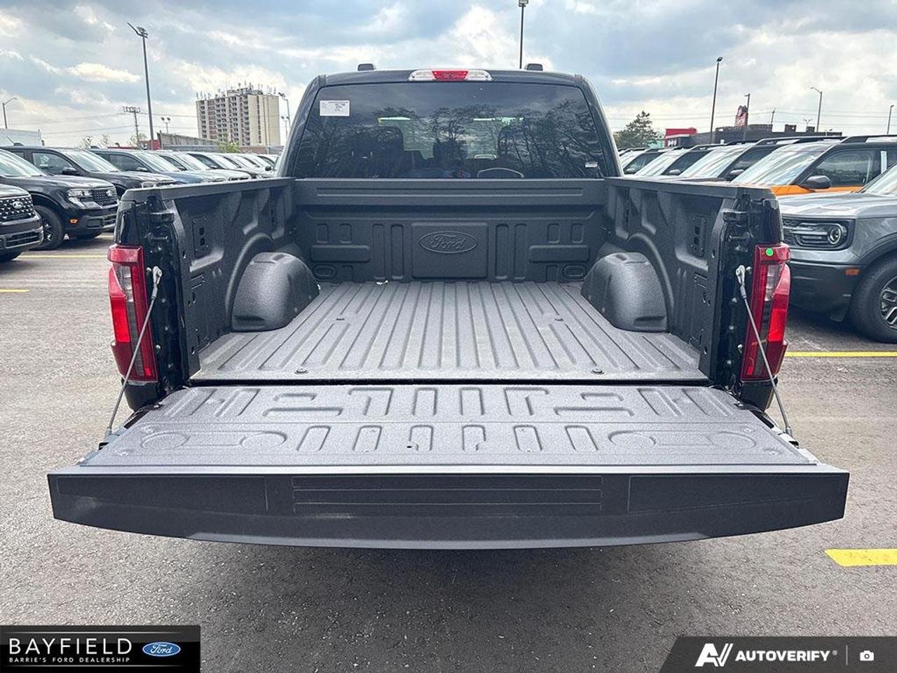 2025 Ford F-150 STX Photo