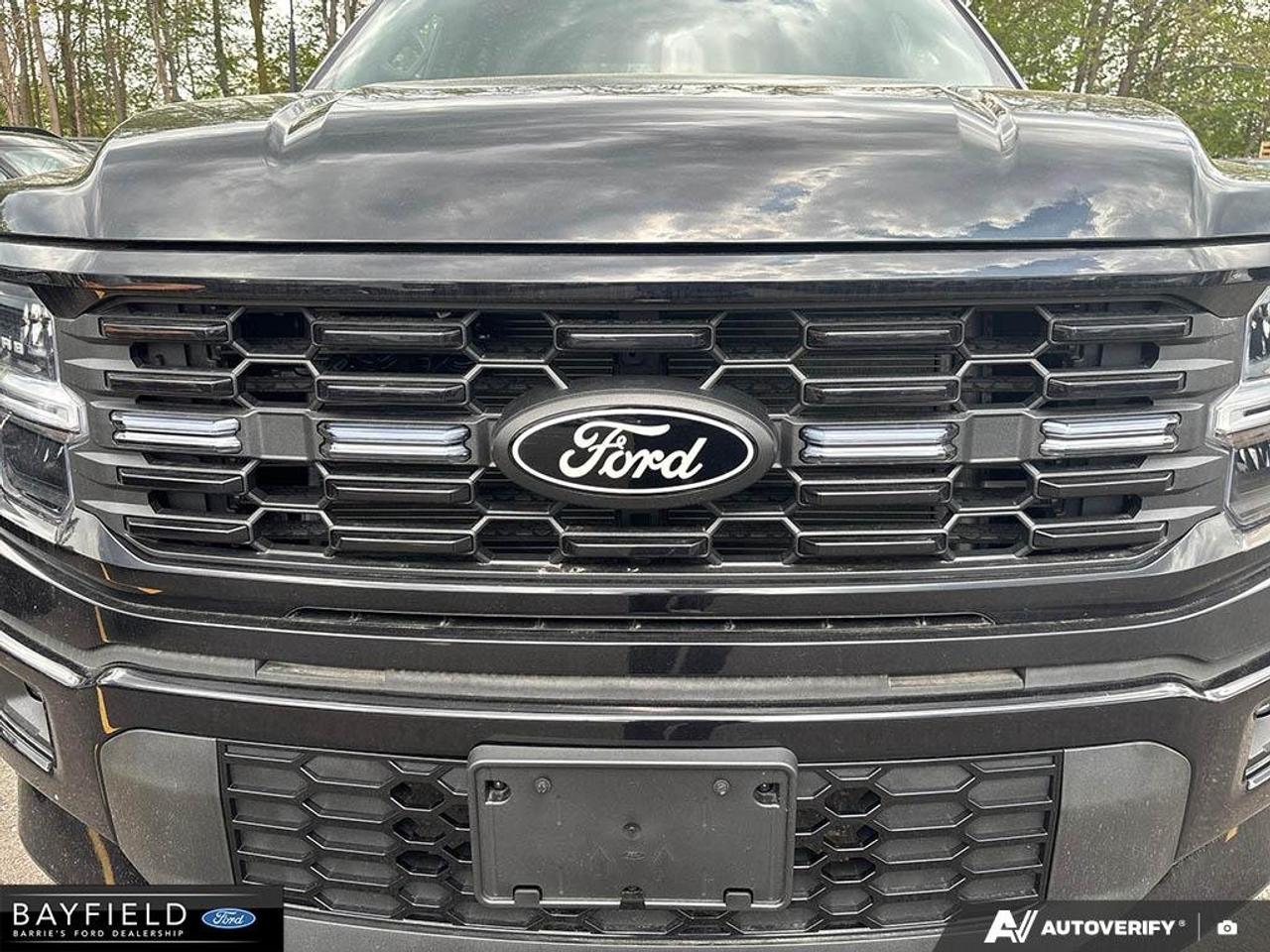 2025 Ford F-150 STX Photo