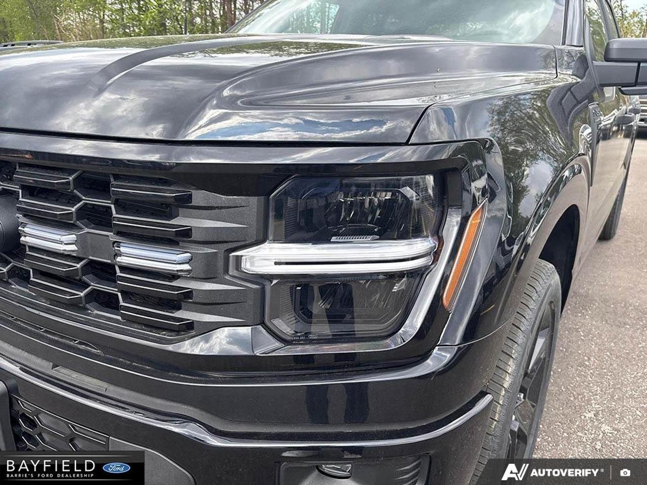 2025 Ford F-150 STX Photo