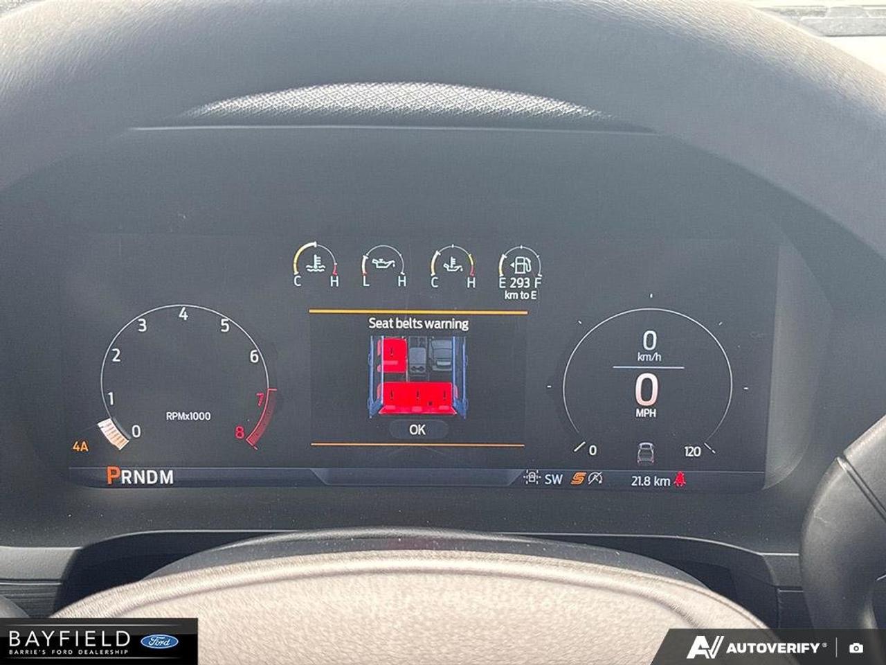 2025 Ford F-150 STX Photo