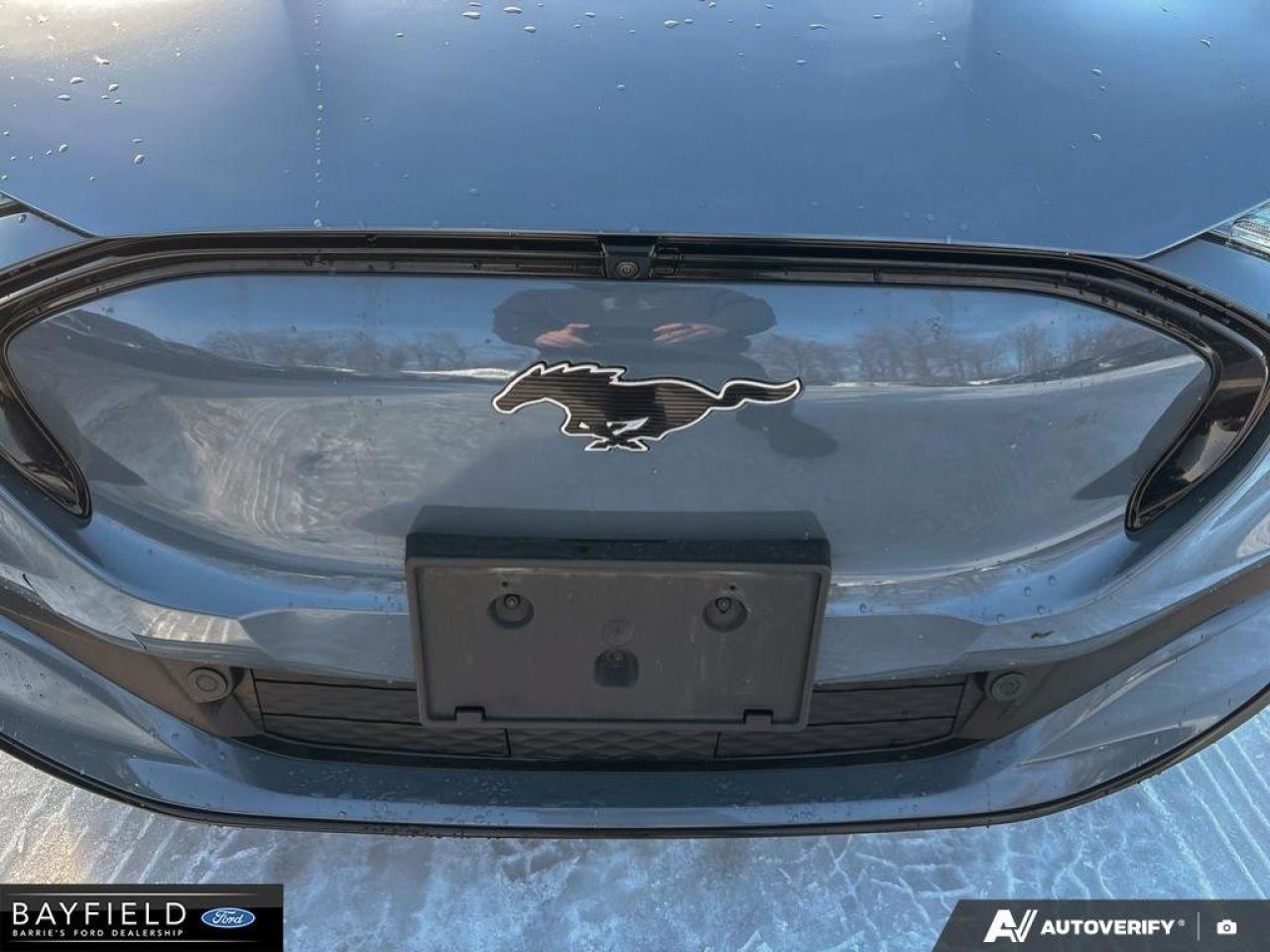 2023 Ford Mustang Mach-E Premium Photo