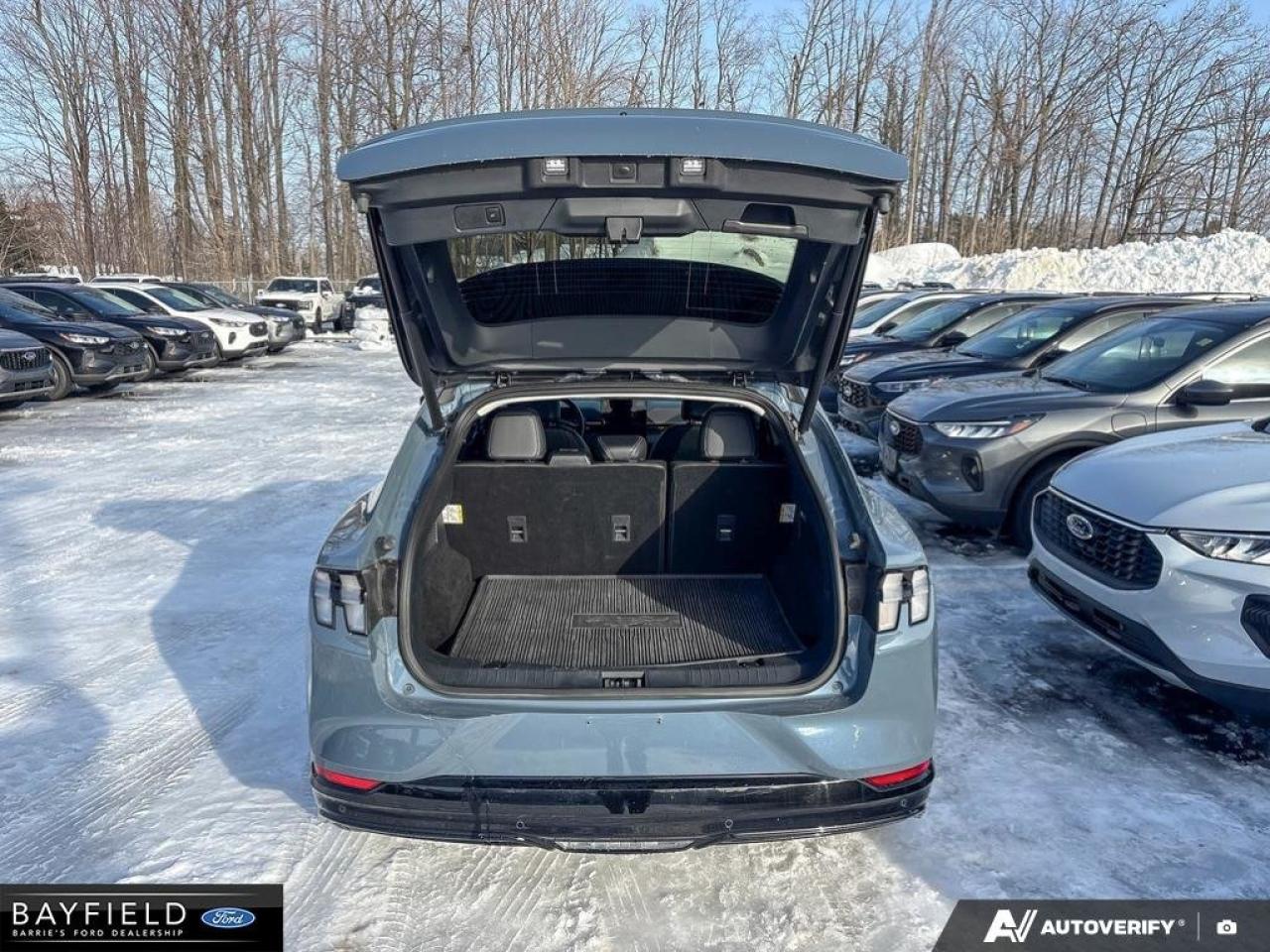 2023 Ford Mustang Mach-E Premium Photo