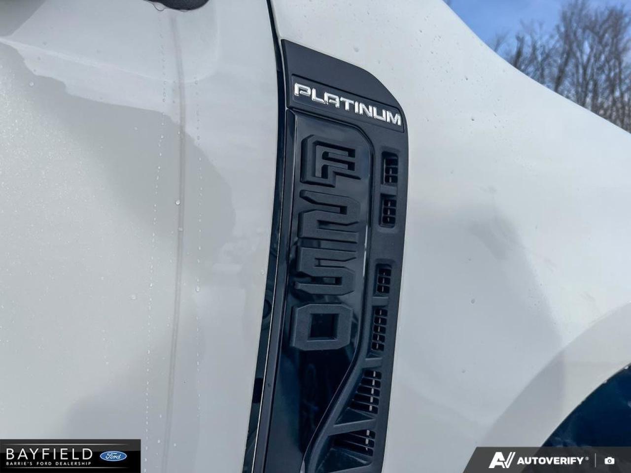 2026 Ford F-250 Platinum Photo
