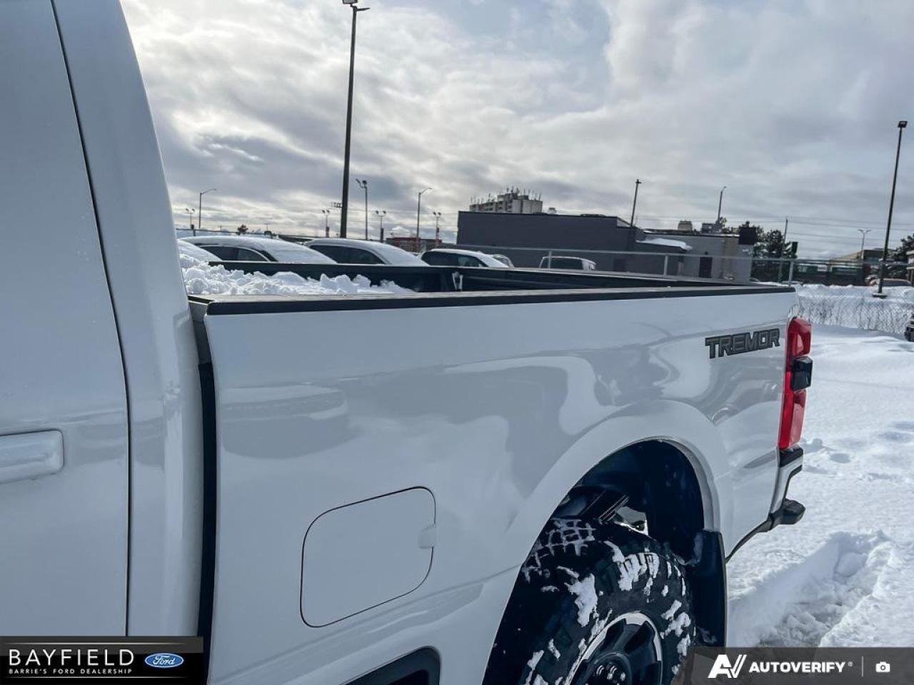 2026 Ford F-250 Platinum Photo