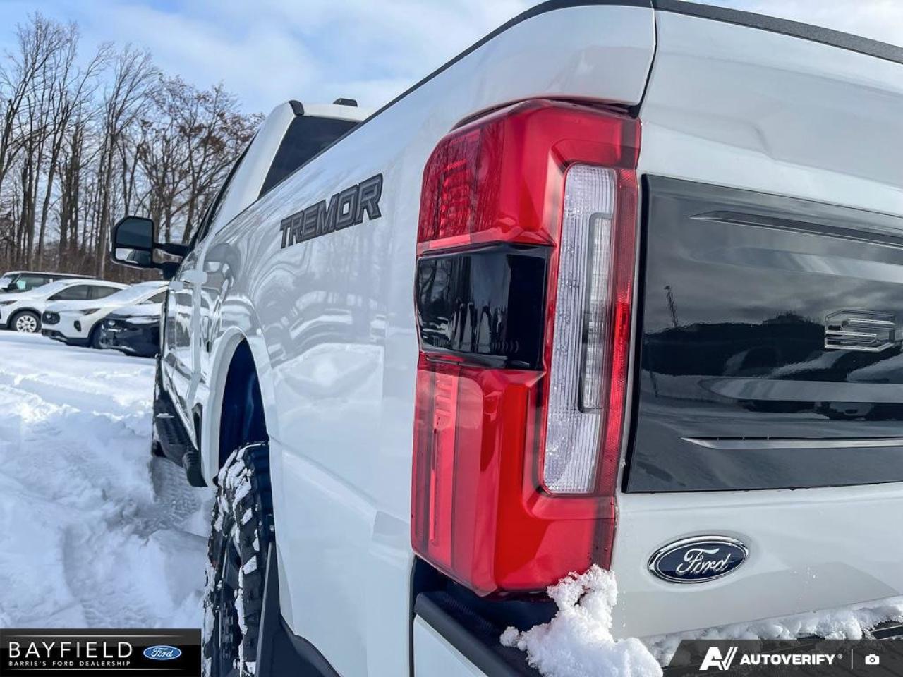 2026 Ford F-250 Platinum Photo