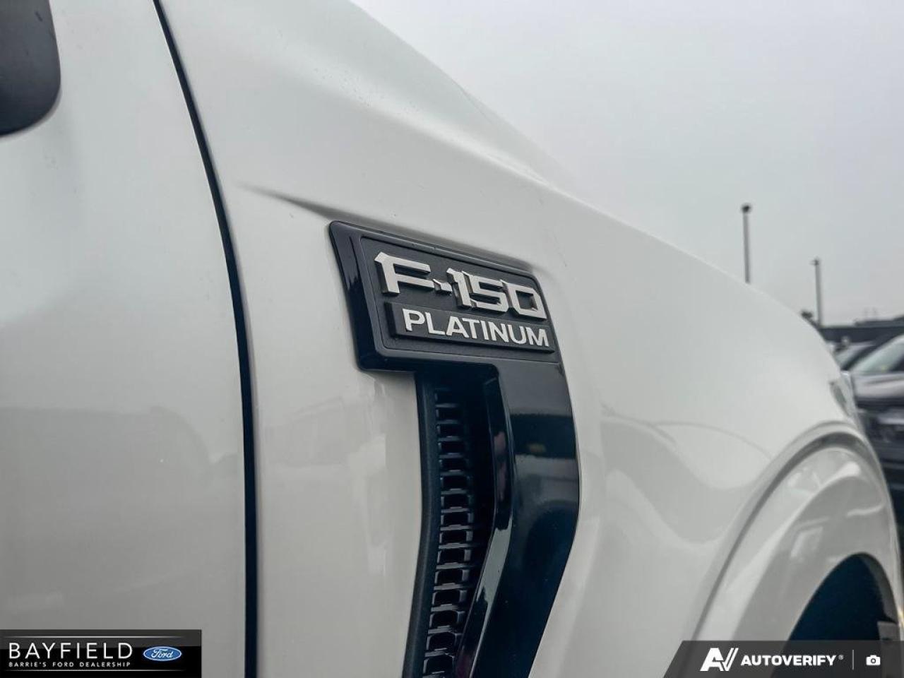 2025 Ford F-150 Platinum Photo