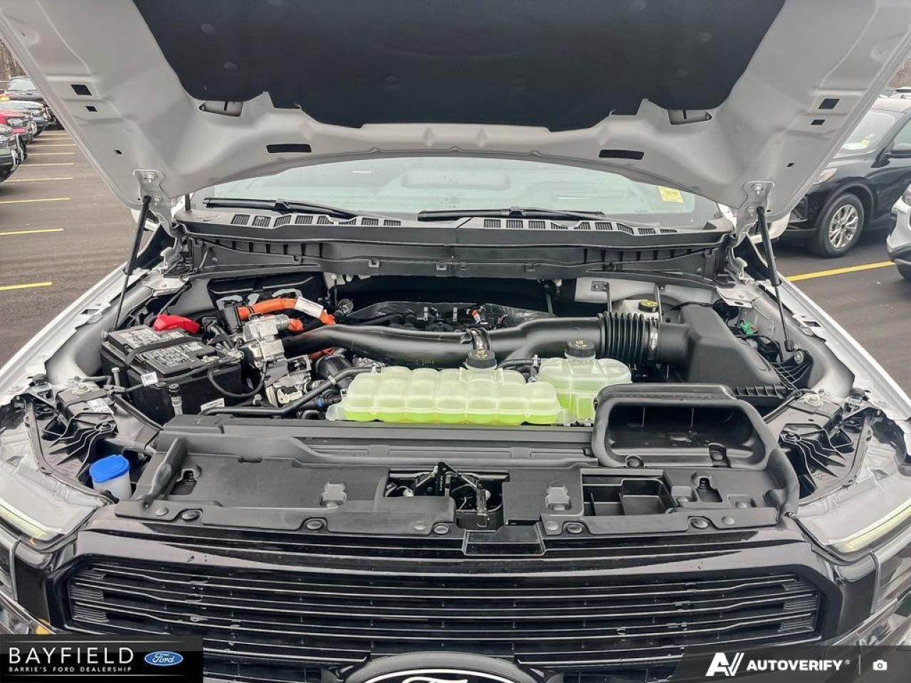 2025 Ford F-150 Platinum Photo