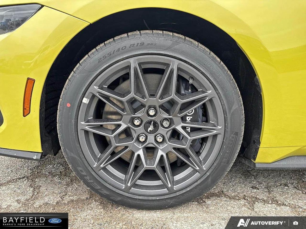 2025 Ford Mustang Fastback GT Photo