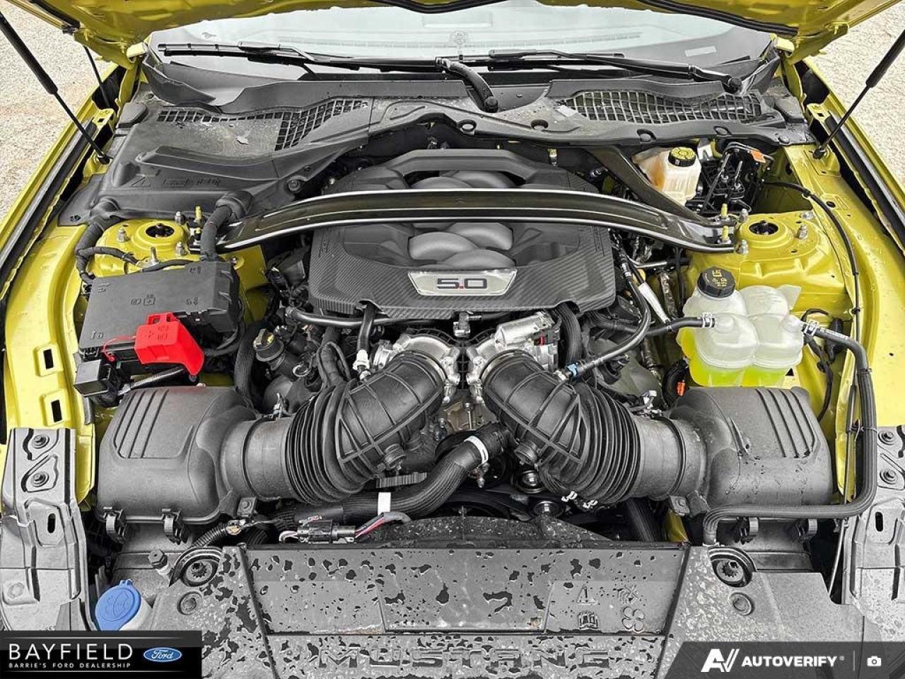 2025 Ford Mustang Fastback GT Photo