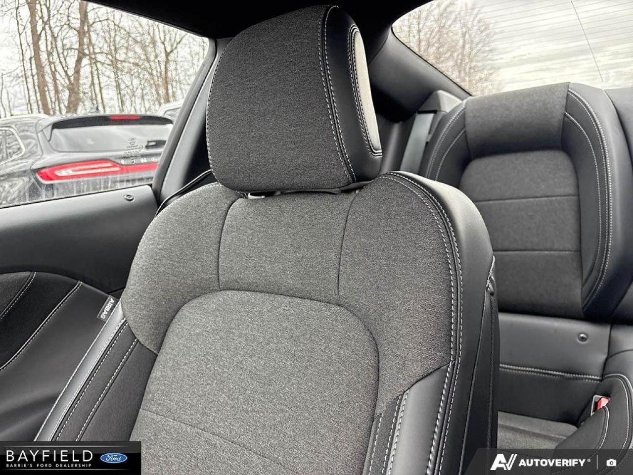 2025 Ford Mustang Fastback GT Photo