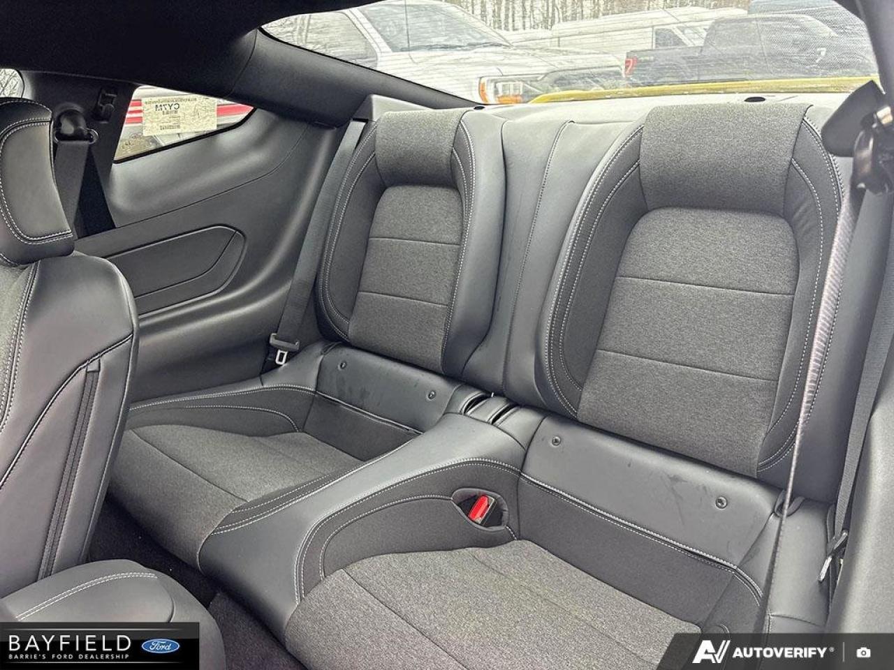 2025 Ford Mustang Fastback GT Photo