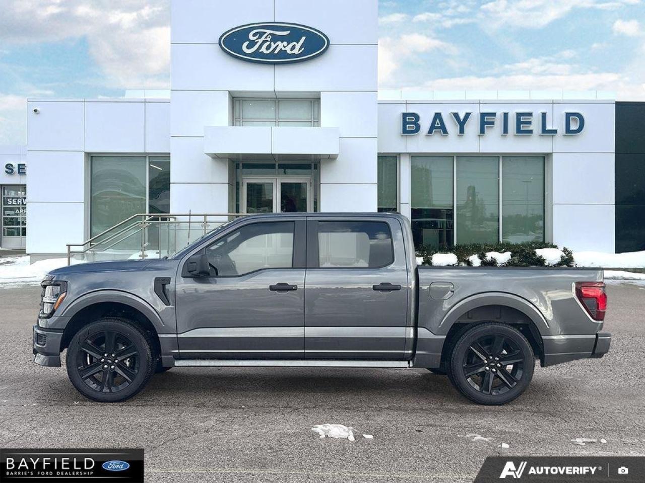 2025 Ford F-150 STX Photo