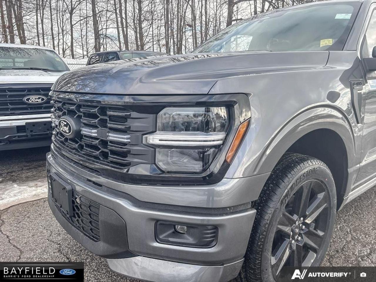 2025 Ford F-150 STX Photo